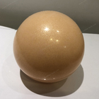 palla di forma fisica di esercizio 45 cm del PVC 100g per la palla di forma fisica della palla di yoga dell'attrezzatura di esercizio del club di salute di yoga
