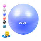 Palla su misura di Logo Anti Burst Exercise Yoga, palla di ginnastica ritmica