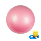 PVC molle 45 di anti scoppio palla della palestra dell'attrezzatura di esercizio della palla di yoga della palestra di 55 65 75cm