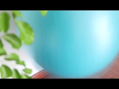 Palla da yoga per fitness da 45 cm a prova di esplosione in PVC con pompa ad aria, palla per esercizi, attrezzatura per esercizi, palla da yoga